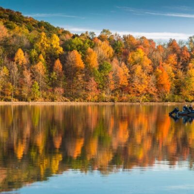 Newtowne Neck State Park