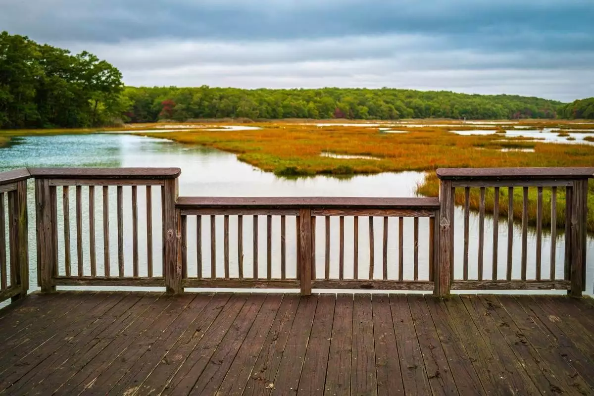Tranquil marshland landscape over the wooden deck at Rocky Neck State Park