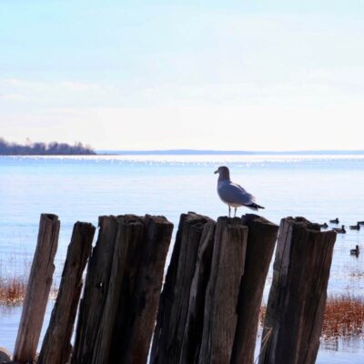 Fort Trumbull State Park