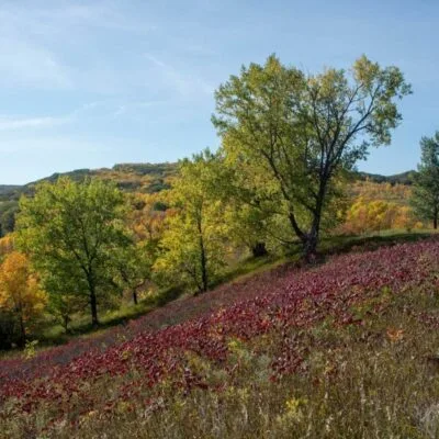Stockade Lake Campground