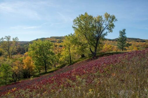 Sica Hollow State Park
