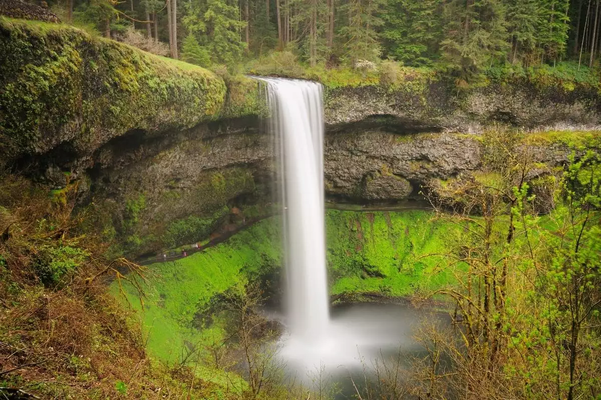 long exposure shot of the waterfall at Silver Falls State Park