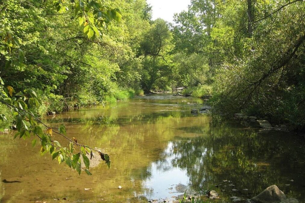 Wolf Creek in Sycamore State Park