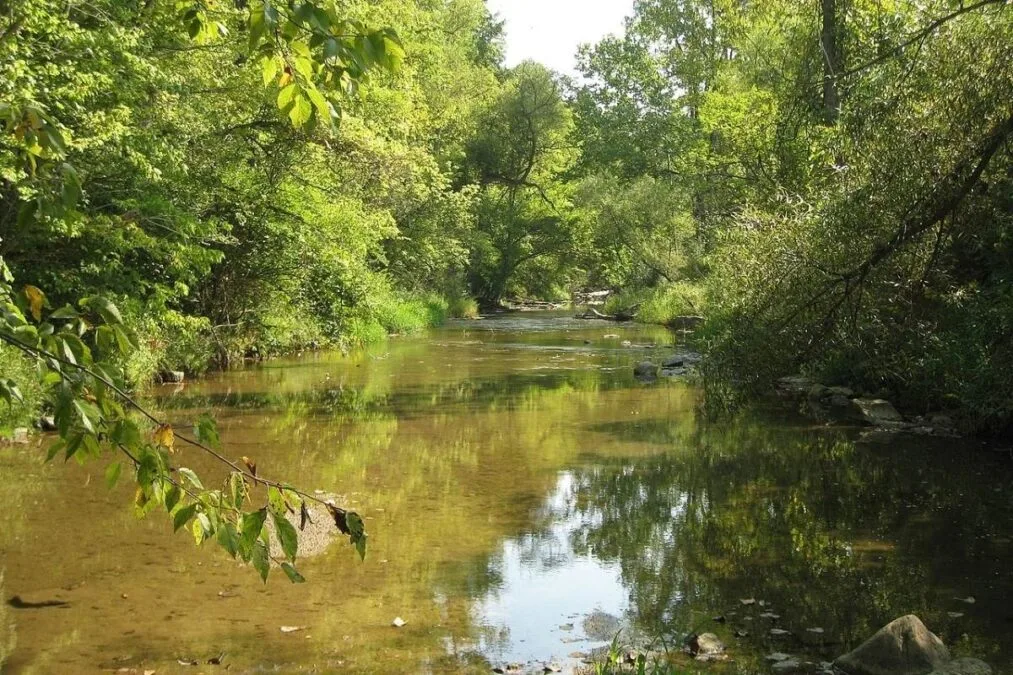 Sycamore State Park 74 Wolf Creek in Sycamore State Park