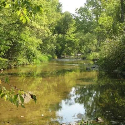 Sycamore State Park