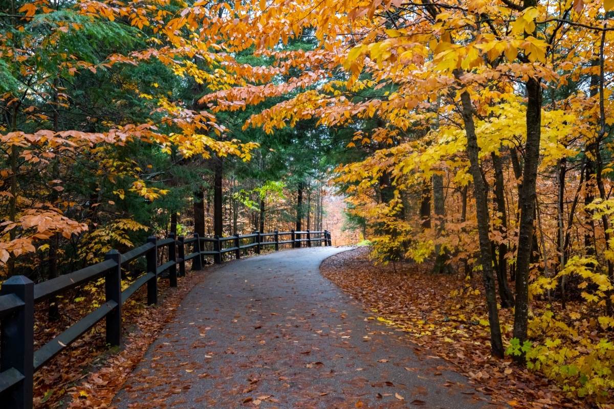 hiking trail underneath fall foliage at Tahquamenon Falls State Park