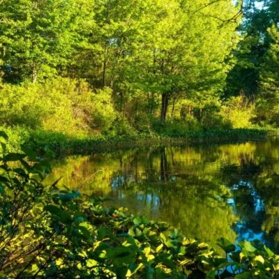 Tinkers Creek State Park