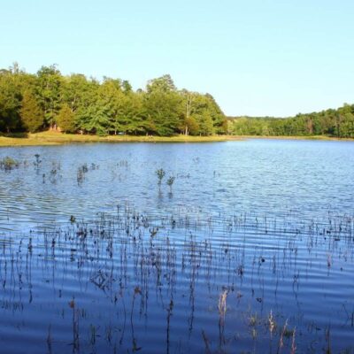 Shepard State Park