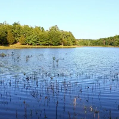 Tishomingo State Park