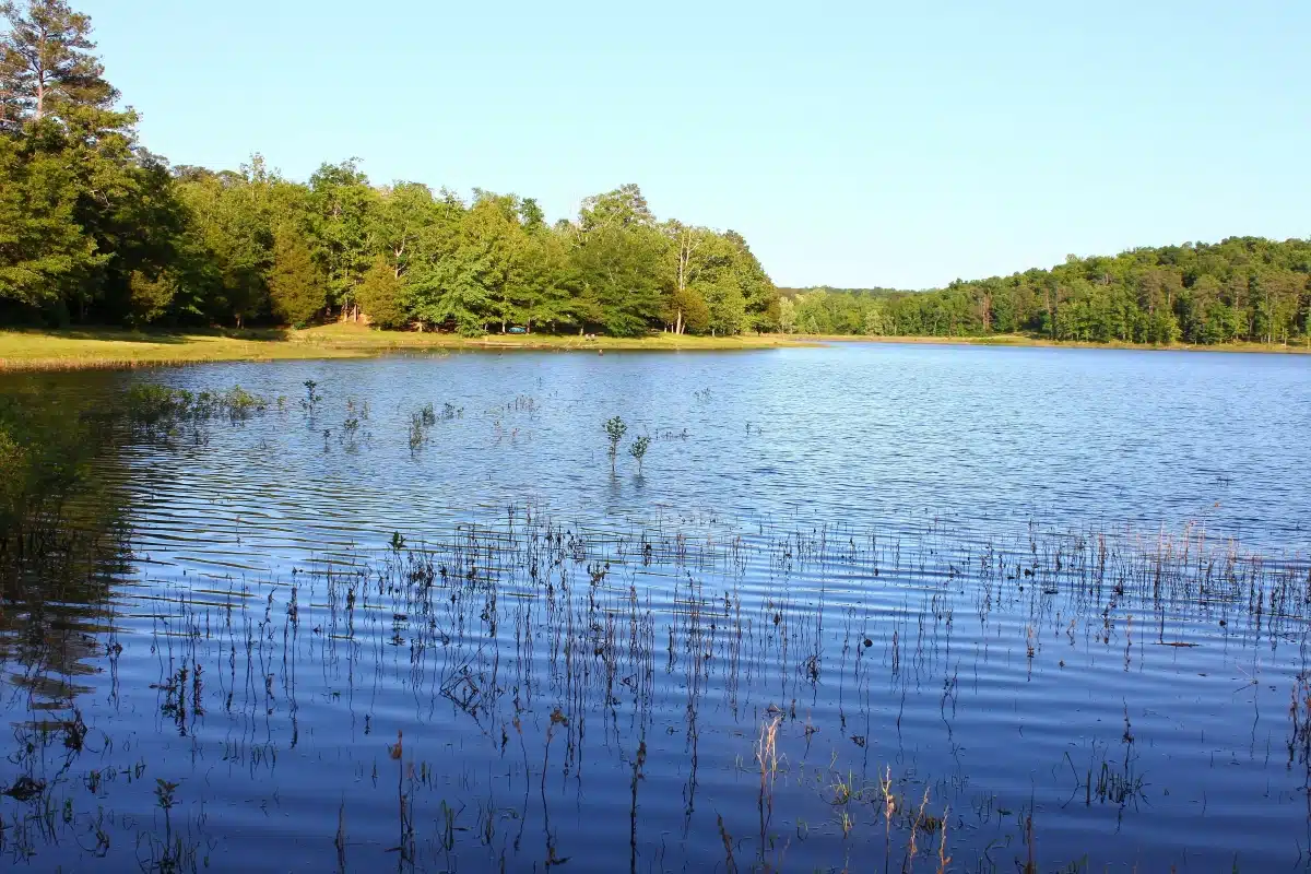 Shepard State Park
