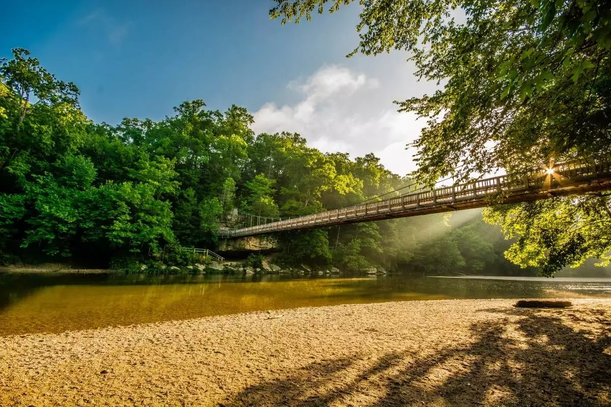 suspension bridge at Turkey Run State Park