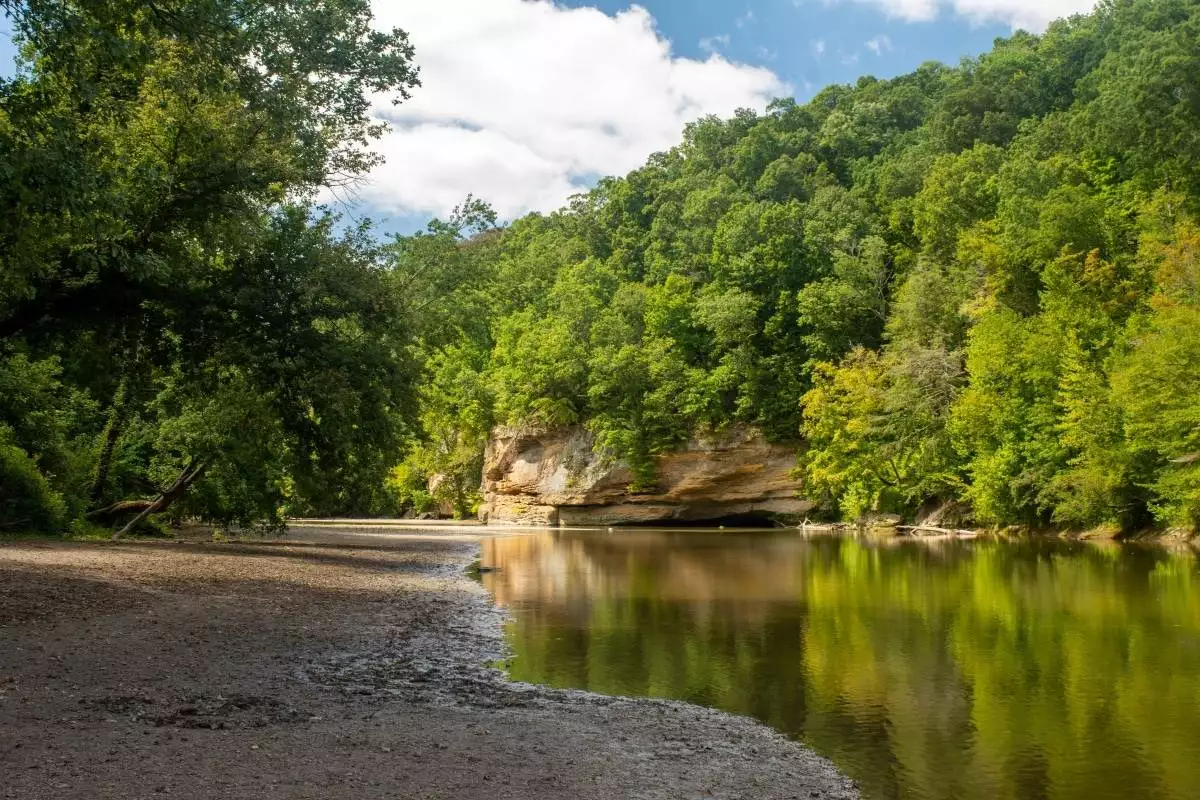 the bank of Sugar Creek at Turkey Run State Park