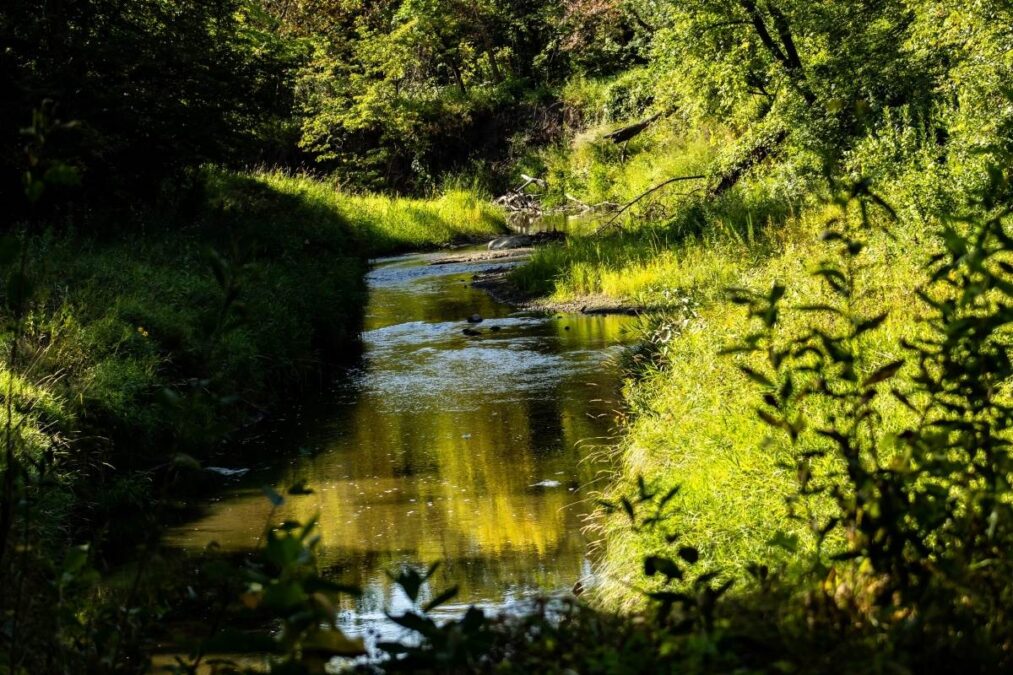 Dusk sunlight over a river, , photographed at Turtle River State Park, North Dakota