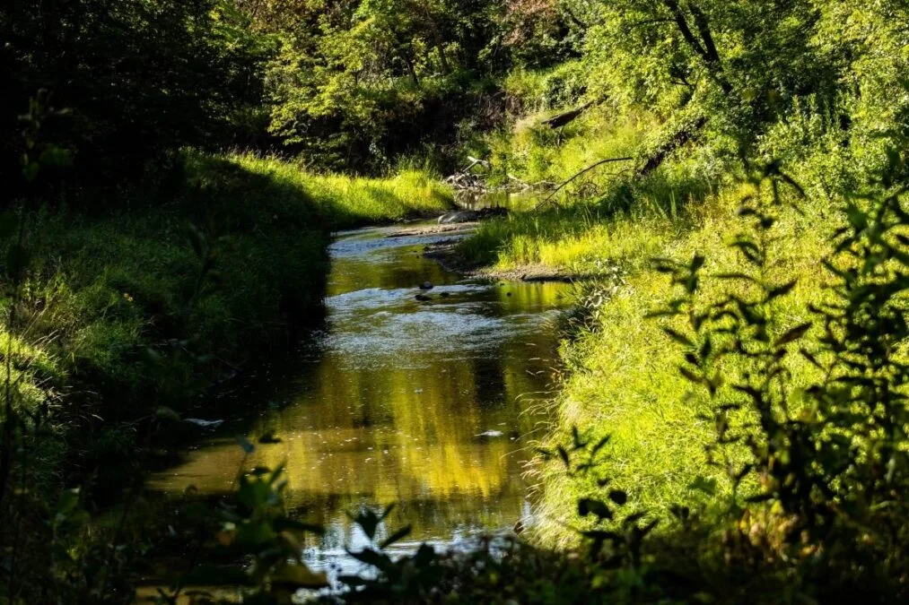 Turtle River State Park 16 Dusk sunlight over a river, , photographed at Turtle River State Park, North Dakota