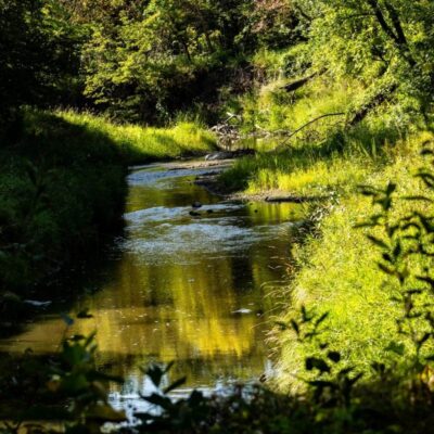 Turtle River State Park