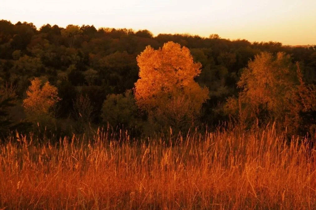 Sunset during Autumn at Union Grove State Park