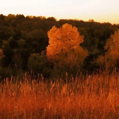 Union Grove State Park