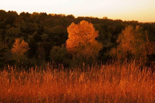 Union Grove State Park