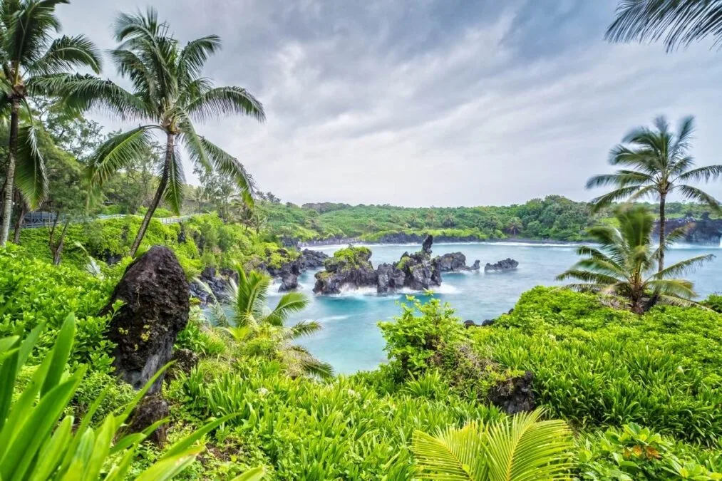palm trees by the water at Wai‘anapanapa State Park