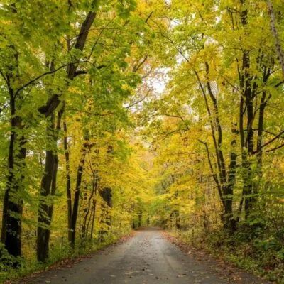 White Clay Creek State Park