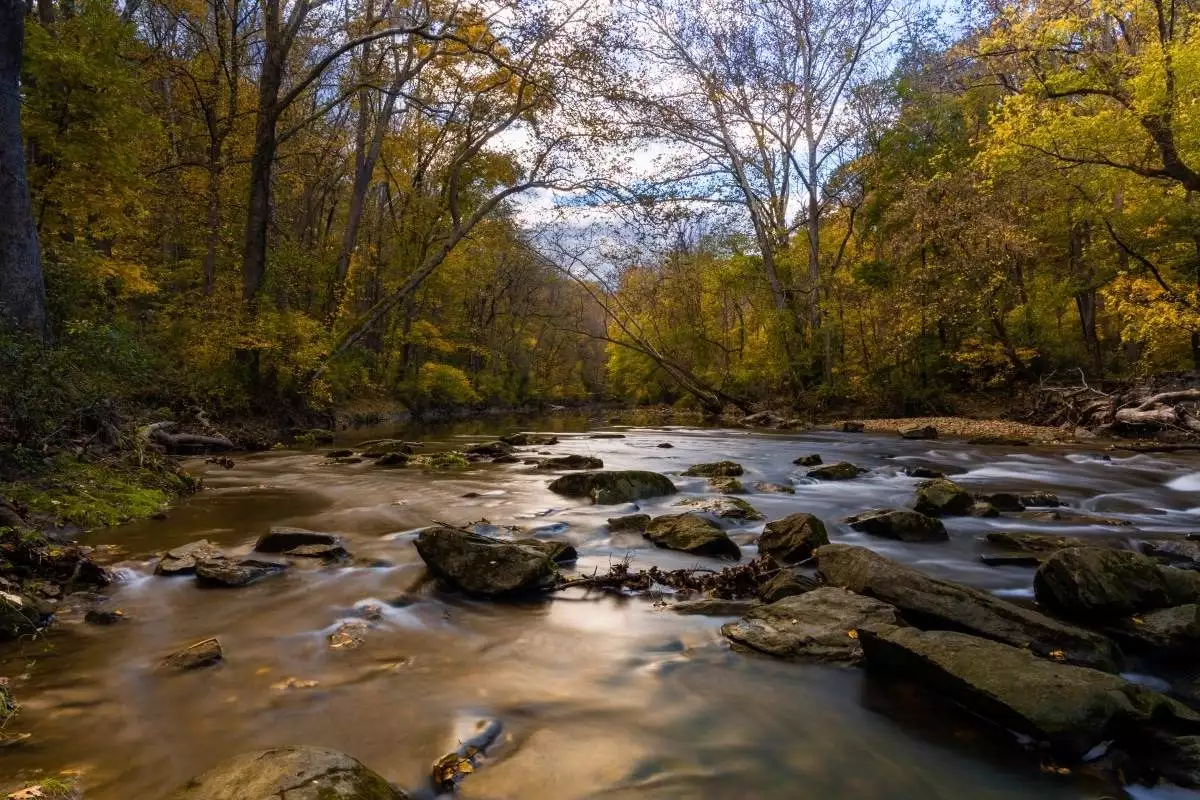 long exposure shot of a creek flowing through White Clay Creek State Park