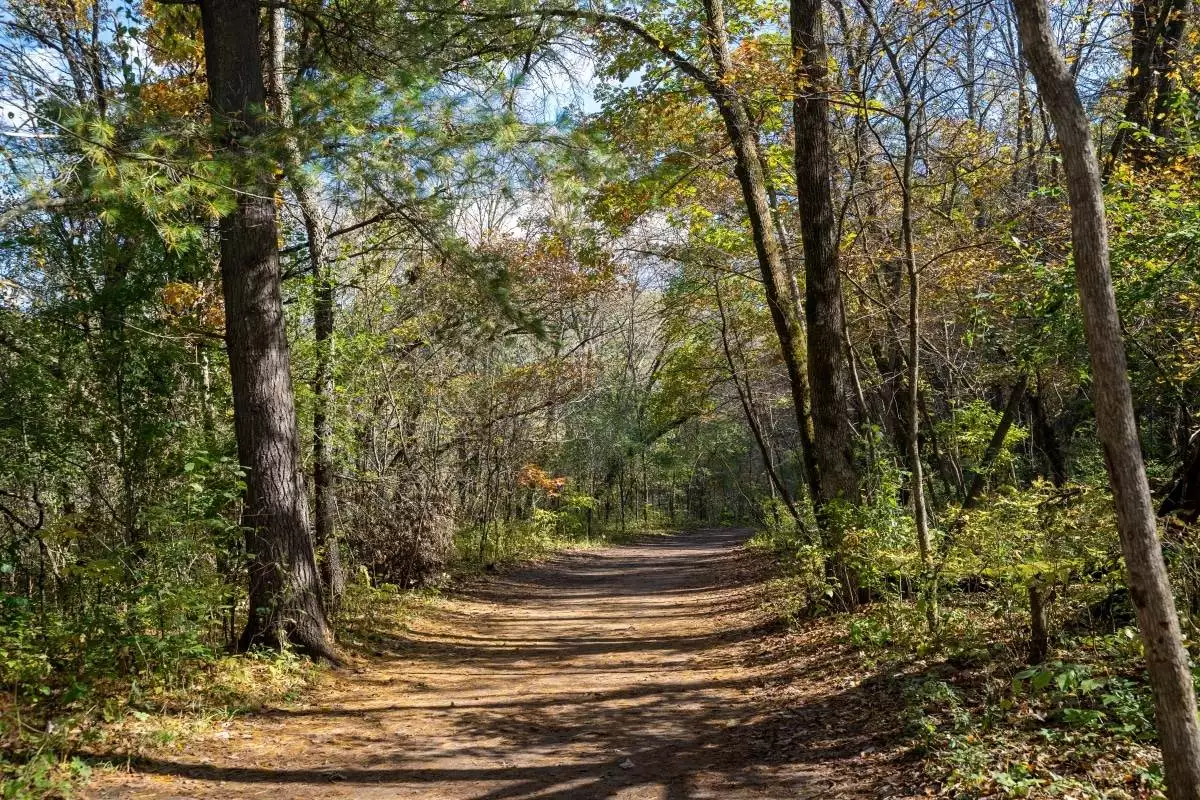 hiking trail through Willow River State Park