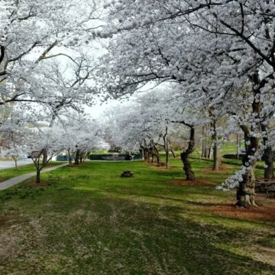 Wilmington State Parks