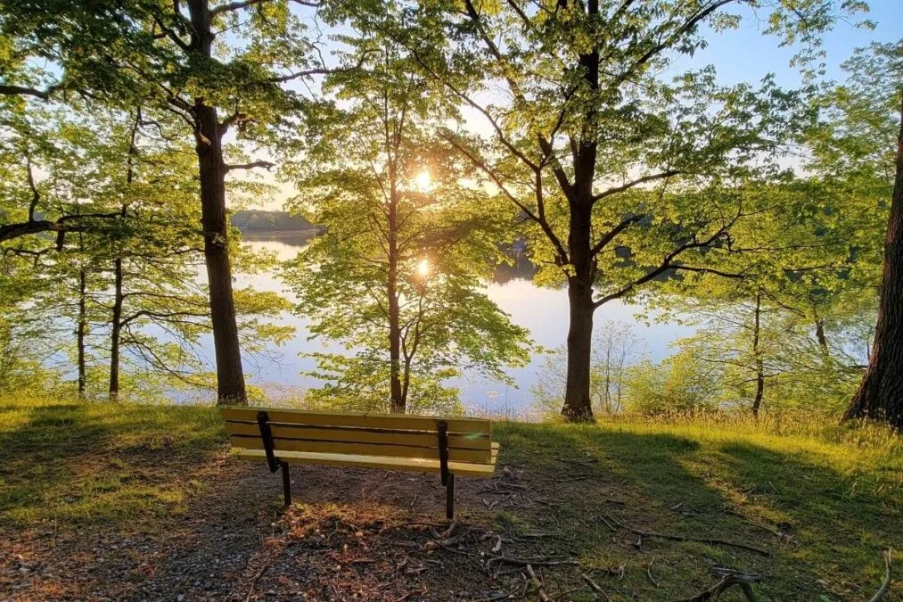 Wingfoot Lake State Park 79 Park bench overlooking the lake at Wingfoot Lake State Park