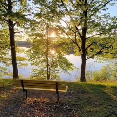 Wingfoot Lake State Park