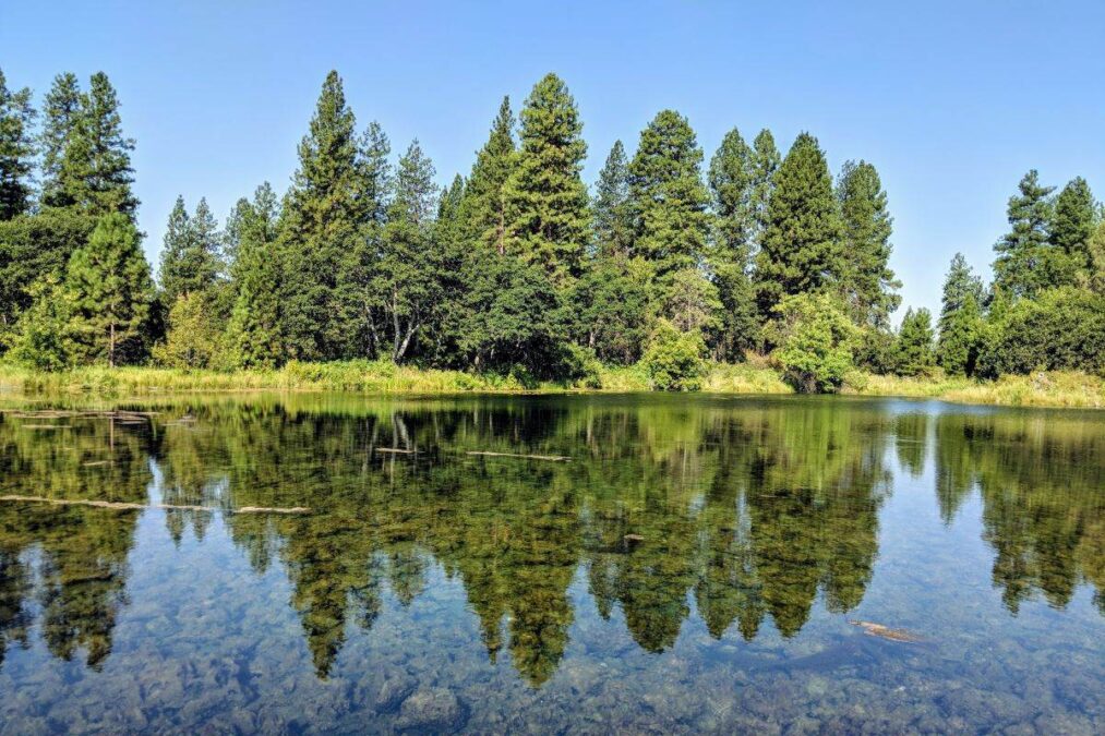 A lake at Ahjumawi Lava Springs State Park