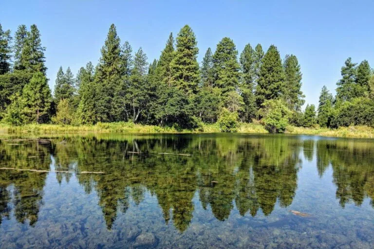 Ahjumawi Lava Springs State Park
