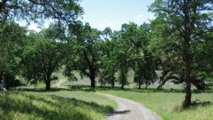 Anderson Marsh State Historic Park
