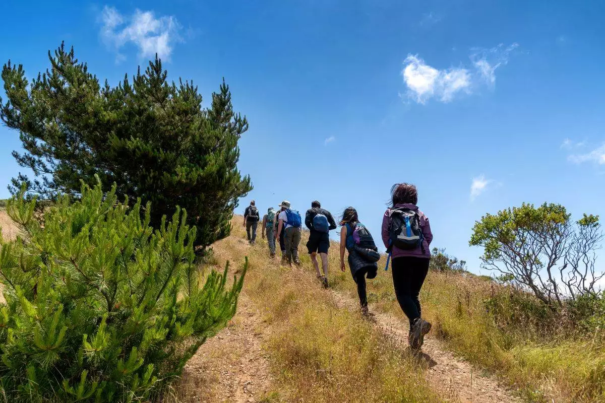 group hiking on a trail at Angel Island State Park