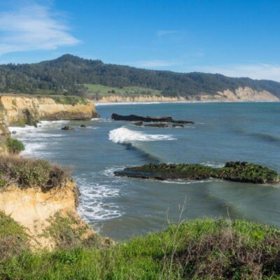Ano Nuevo State Park