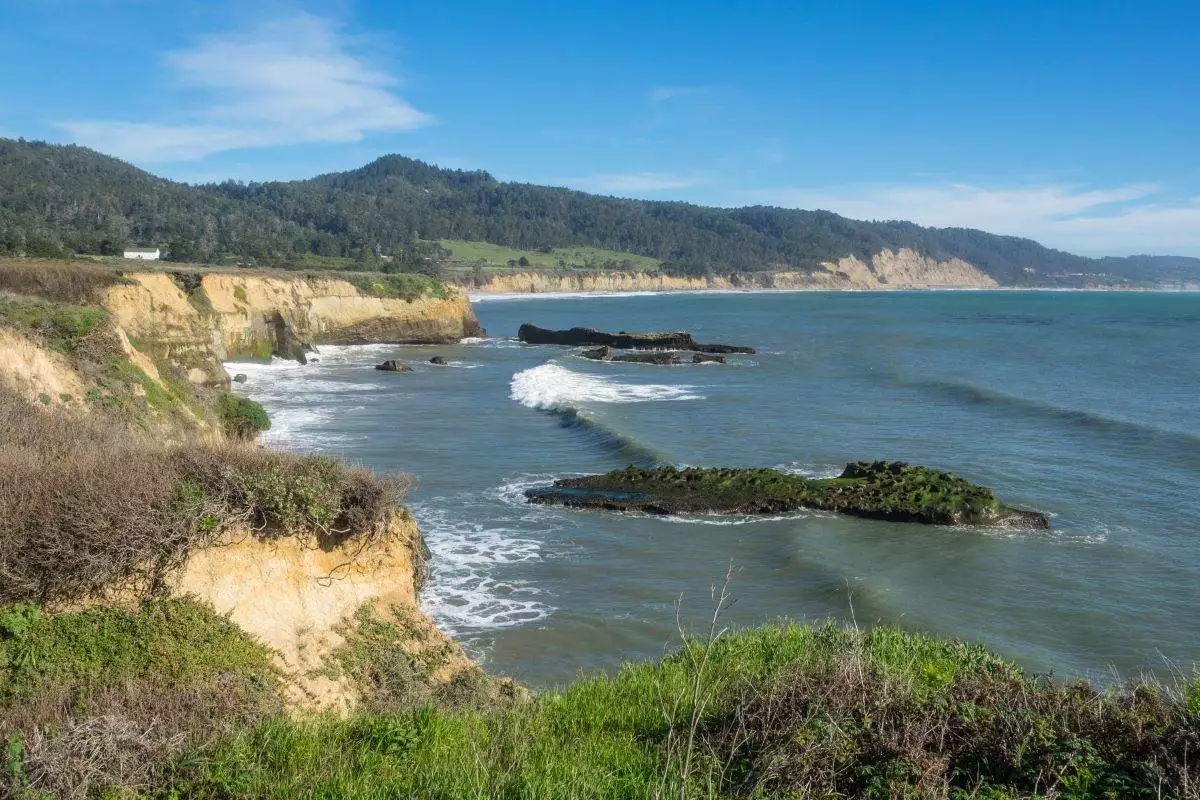 aerial photograph of Ano Nuevo State Park