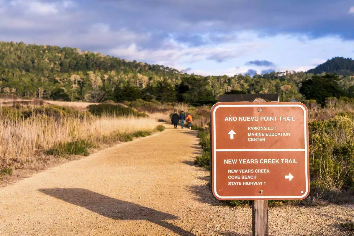 sign for a hiking trail at Ano Nuevo State Park