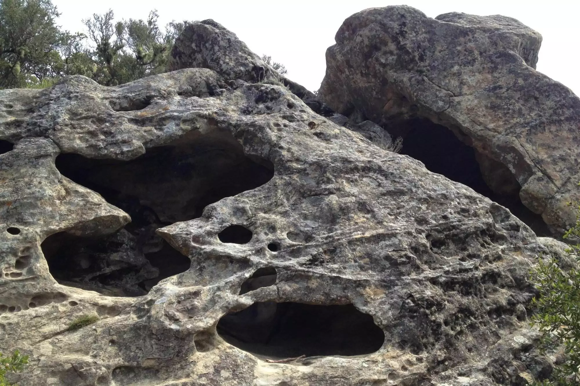Castle Rock State Park (California)