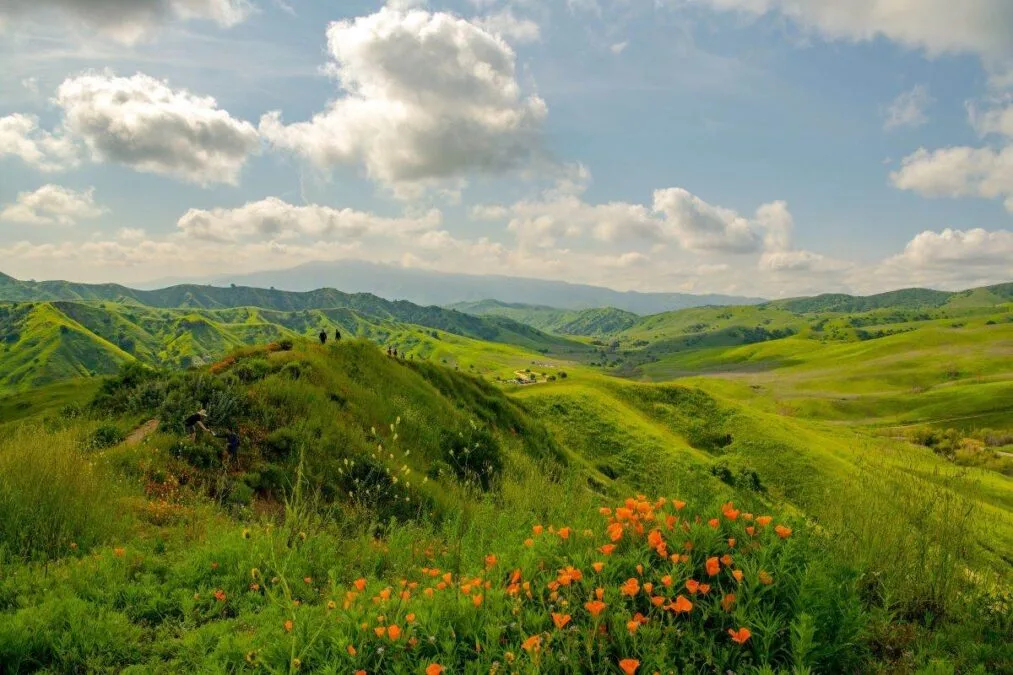 a picture of Chino Hills State Park with mountains in the background