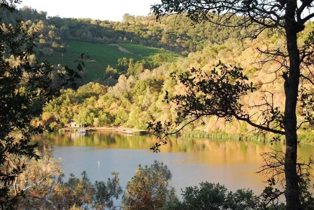 Dorn Bay, Clear Lake, CA as viewed from Clear Lake State Park