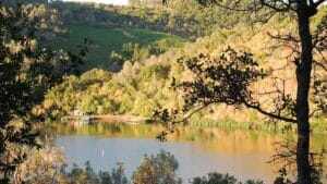 Bair Island Ecological Reserve