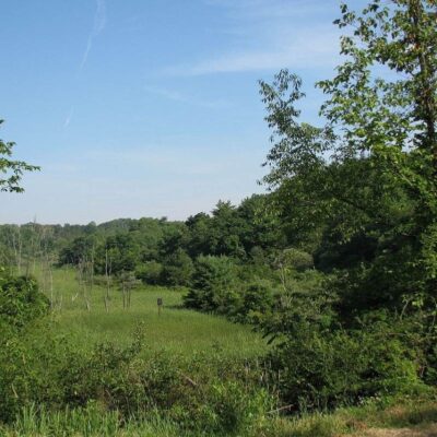 Shikellamy State Park