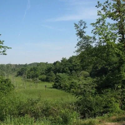 Hillman State Park