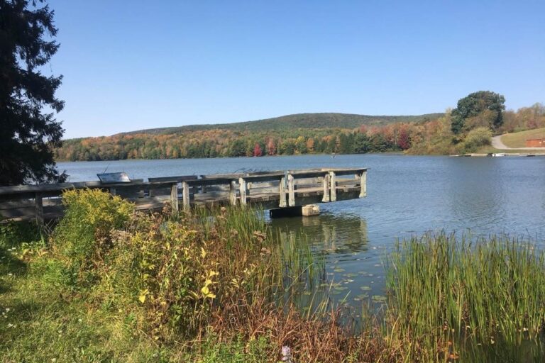 Hills Creek State Park