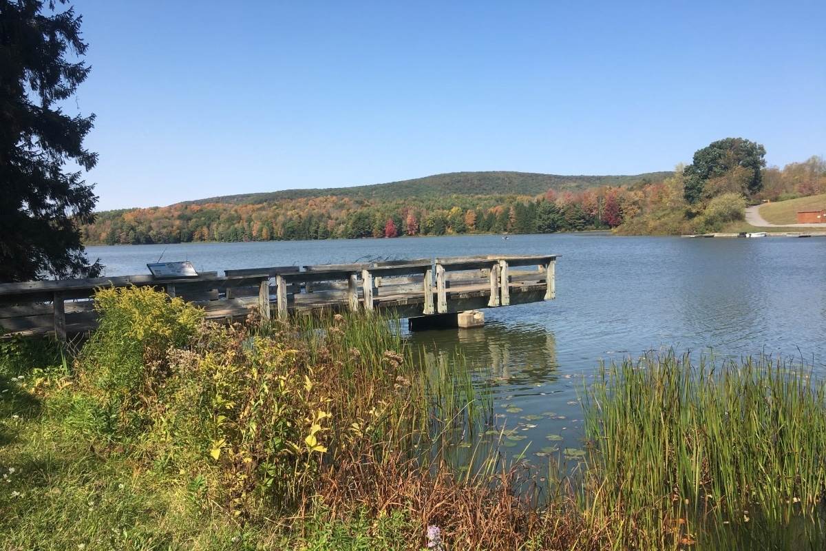 Fishing pier at Hills Creek State Park