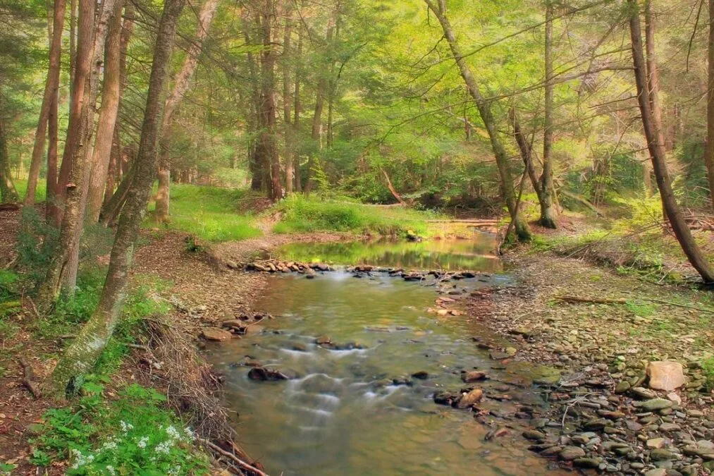Hyner Run State Park 49 Namesake stream, Hyner Run State Park, Clinton County, Pennsylvania