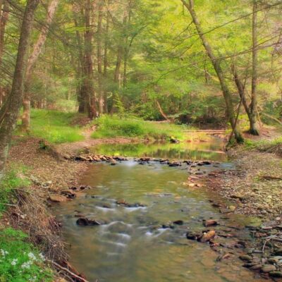 Hyner Run State Park