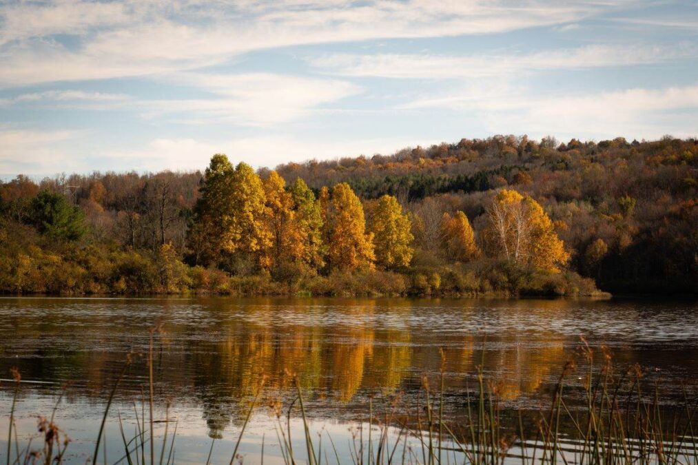 The lake at Lackawanna State Park during Autumn