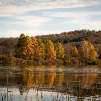 Lackawanna State Park
