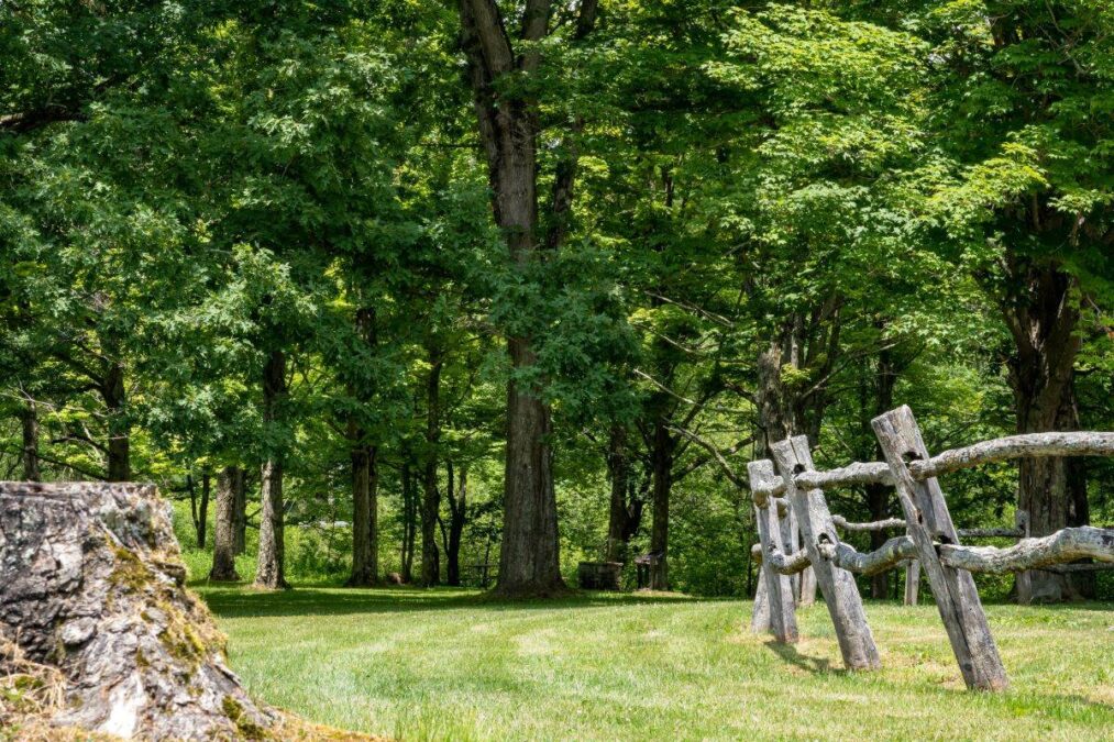 Tree stump and wooden fence in front of a wooded tree line with a green field of grass in Lauren Hill State Park in Pennsylvania