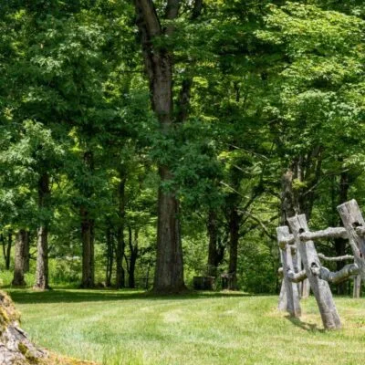 Laurel Hill State Park